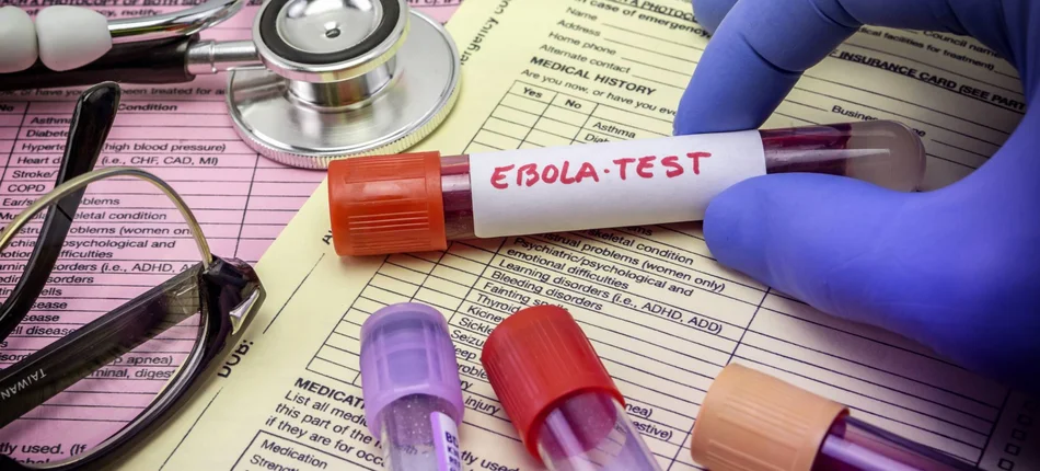 WHO: Ebola już nie tak groźna - Obrazek nagłówka