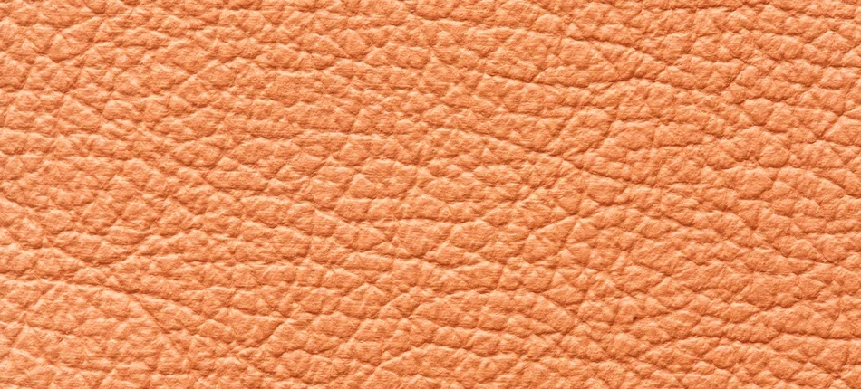 Przełomowa skóra wyhodowana z komórek macierzystych - Obrazek nagłówka
