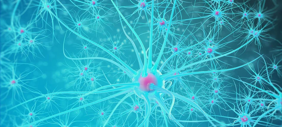Przeprogramowanie astrocytów sposobem na chorobę Parkinsona? - Obrazek nagłówka