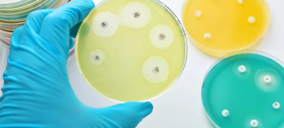 Superbakteria na Pomorzu jest oporna na leki ostatniej szansy! - Obrazek nagłówka