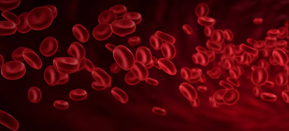 Przełom w leczeniu anemii sierpowatej - Obrazek nagłówka