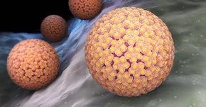Oceniono skutki masowych szczepień nastolatek przeciwko HPV
