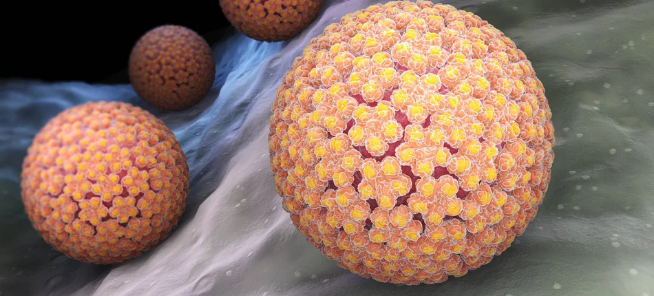 Oceniono skutki masowych szczepień nastolatek przeciwko HPV - Obrazek nagłówka