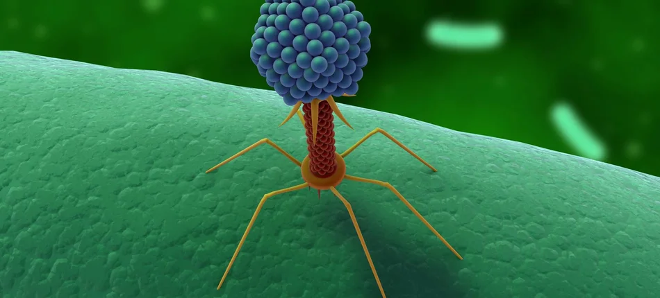 Ludzko-wirusowa hybryda obronna - Obrazek nagłówka
