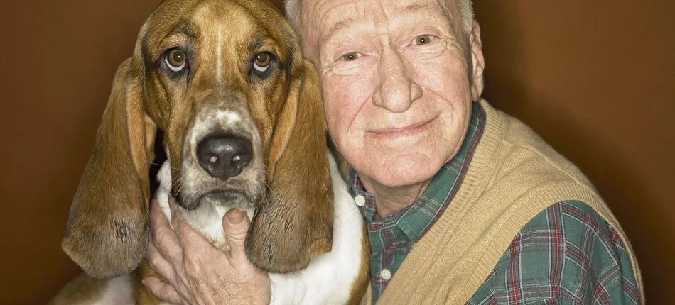 Posiadacze psów żyją dłużej - Obrazek nagłówka