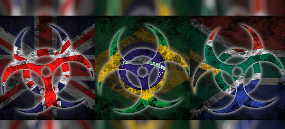 Wszystko o wariantach brytyjskim, brazylijskim i południowoafrykańskim  - Obrazek nagłówka