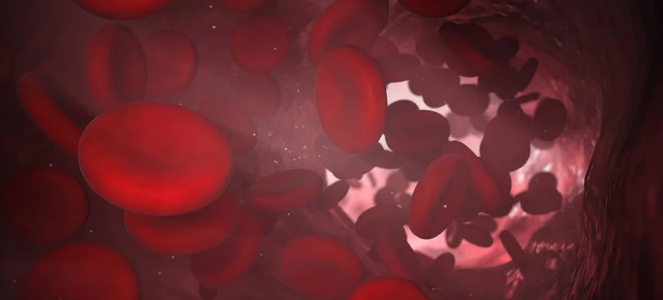 Różny poziom hemoglobiny może zwiększać ryzyko demencję  - Obrazek nagłówka