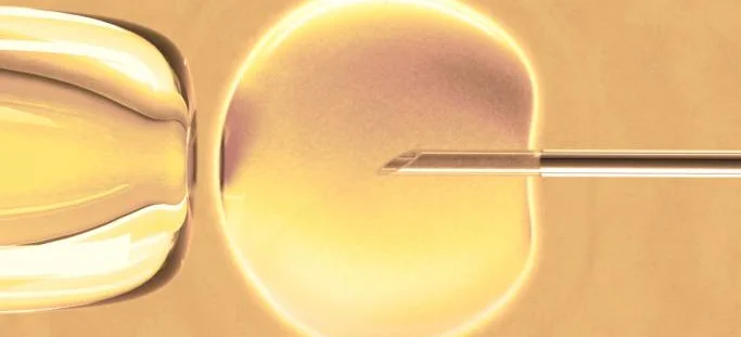 Sukces nowej, bezpieczniejszej metody zapłodnienia in vitro - Obrazek nagłówka