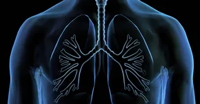 Trzask rozpinanych rzepów w płucach