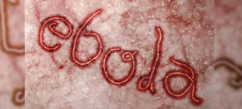 EMA oceni program szczepień przeciwko eboli - Obrazek nagłówka