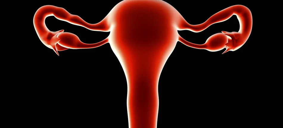 Jak przerwać błędne koło leczenia endometriozy - Obrazek nagłówka