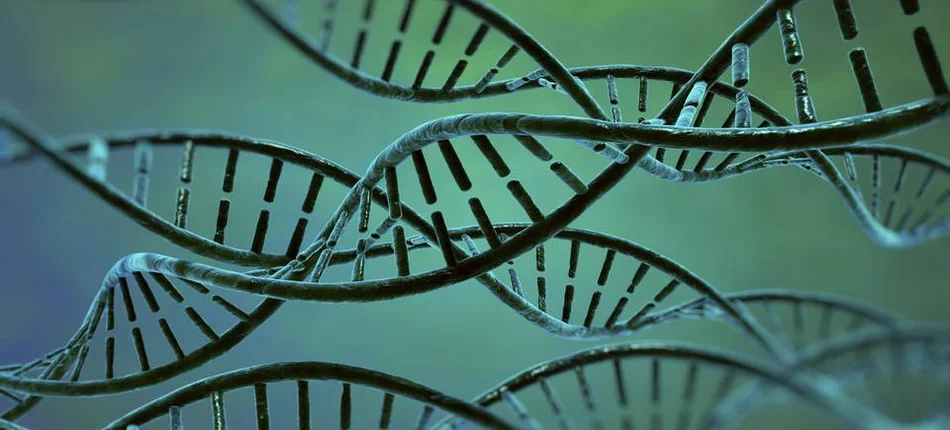 Komisja Europejska zatwierdziła pierwszą terapię genową w leczeniu rdzeniowego zaniku mięśni - Obrazek nagłówka