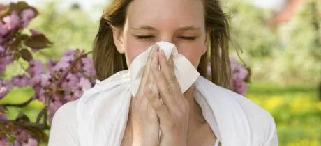 Światowy Tydzień Alergii - Obrazek nagłówka