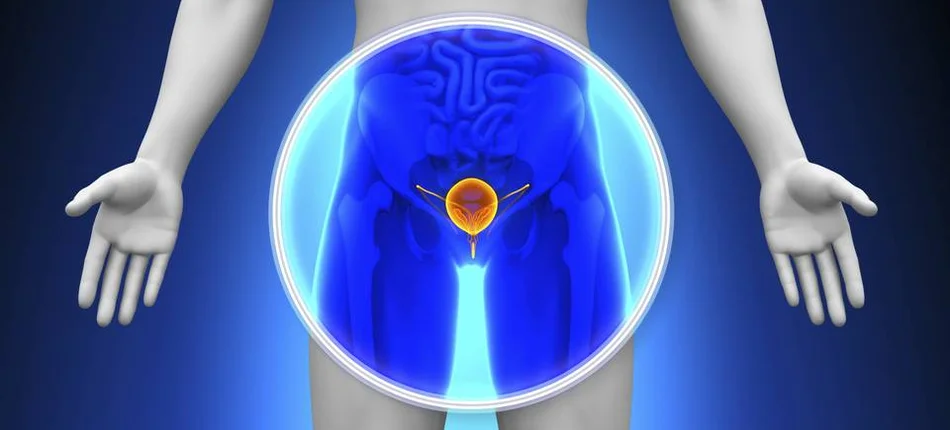 Eksperci o raku prostaty - Obrazek nagłówka