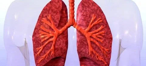 GIF wycofuje antybiotyk na zapalenie płuc - Obrazek nagłówka