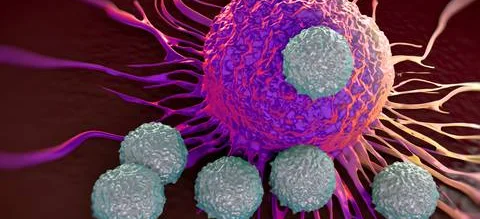 Ważne odkrycie, dzięki któremu immunoterapia może zastąpić inne metody leczenia raka - Obrazek nagłówka
