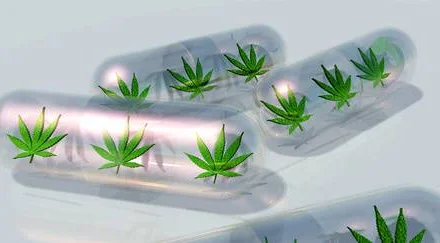 medyczna-marihuana