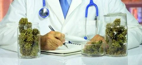 Onkolodzy o skuteczności medycznej marihuany - Obrazek nagłówka
