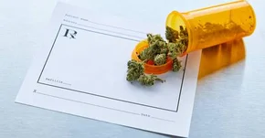 Nowe, twarde dowody na skuteczność pochodnych marihuany w leczeniu padaczki