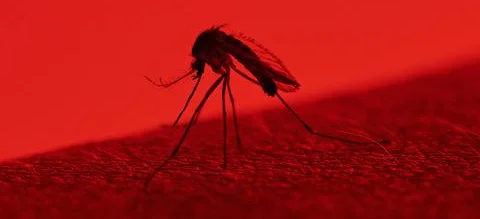 Państwowa Inspekcja Sanitarna sprawdziła produkty "na kleszcze i komary". Są wyniki kontroli - Obrazek nagłówka