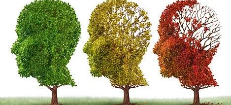 Choroba Alzheimera: Obiecujące wyniki badania! - Obrazek nagłówka