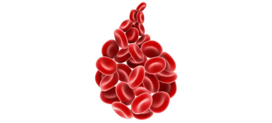 Instytut Hematologii i Transfuzjologii o sytuacji pacjentów z hemofilią - Obrazek nagłówka