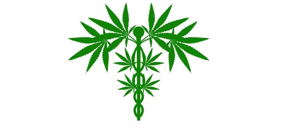 Parlamentarny Zespół ds. marihuany medycznej - transmisja online - Obrazek nagłówka