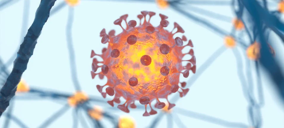 BioMaxima zarejestrowała test na koronawirusa - Obrazek nagłówka
