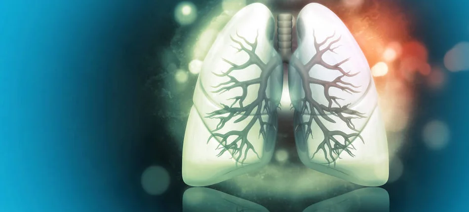 Nowa opcja terapeutyczna w raku płuca - Obrazek nagłówka