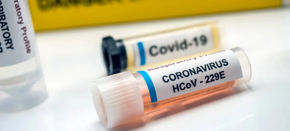 Dzienny raport: 550 nowych przypadków zakażenia koronawirusem - Obrazek nagłówka