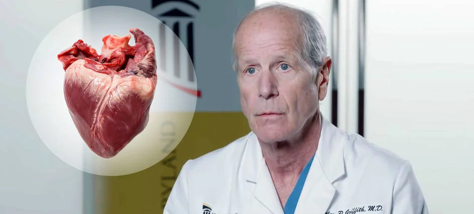 Man receives pig heart. World-first transplant of the kind - Header image