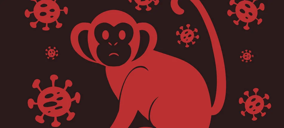 Małpia ospa: MZ wprowadza obowiązek izaloacji - Obrazek nagłówka
