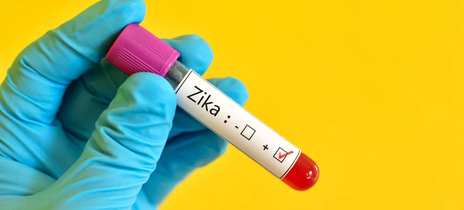 GIS ocenia ryzyko szerzenia się wirusa Zika w Polsce - Obrazek nagłówka