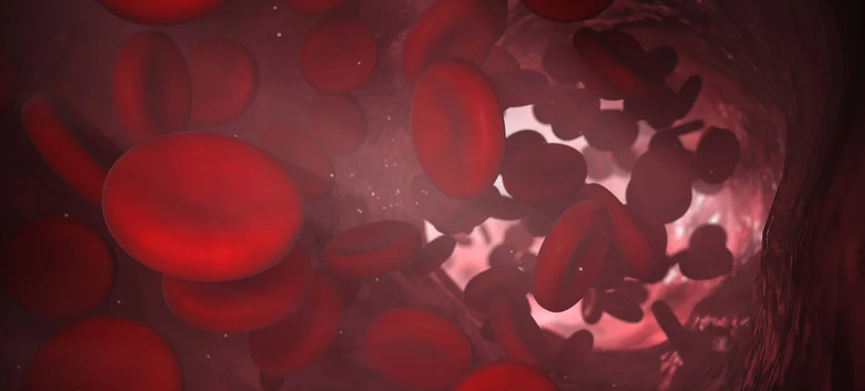 RCL: Rozporządzenie MZ w sprawie określenia wysokości opłat za krew i jej składniki w 2019 r. - Obrazek nagłówka