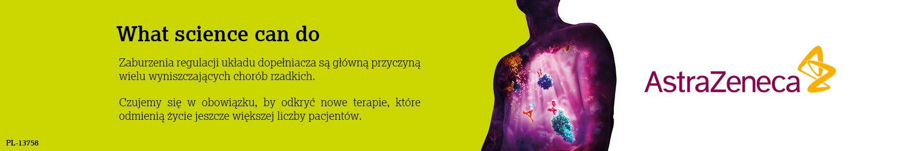 baner reklamowy